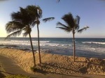 Hawaii Palms Beach